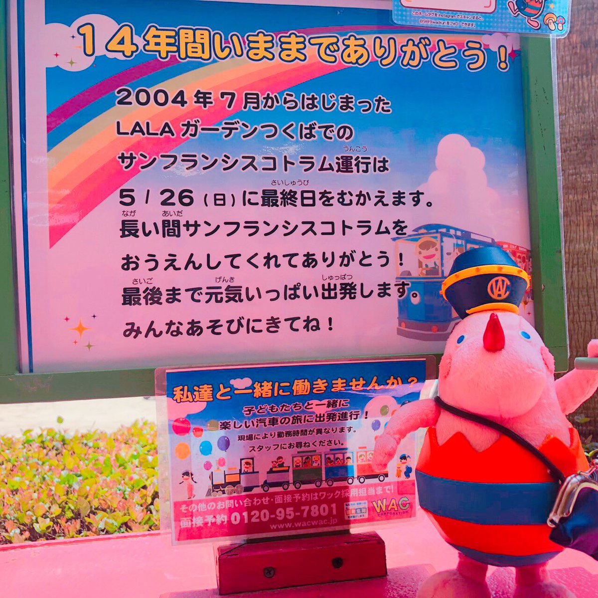 8989wackun's tweet photo. 14年間みんなを乗せて走っていた『サンフランシスコトラム』も今日が最終日なんだポ～ッ⤸💧
最後までたくさんのお友達を笑顔に･･･わっくんも頑張るポ～ッ🚂💨
＃WAC #わっくん ＃ララガーデンつくば ＃つくば ＃遊びに来てね https://t.co/o25SxlERB0