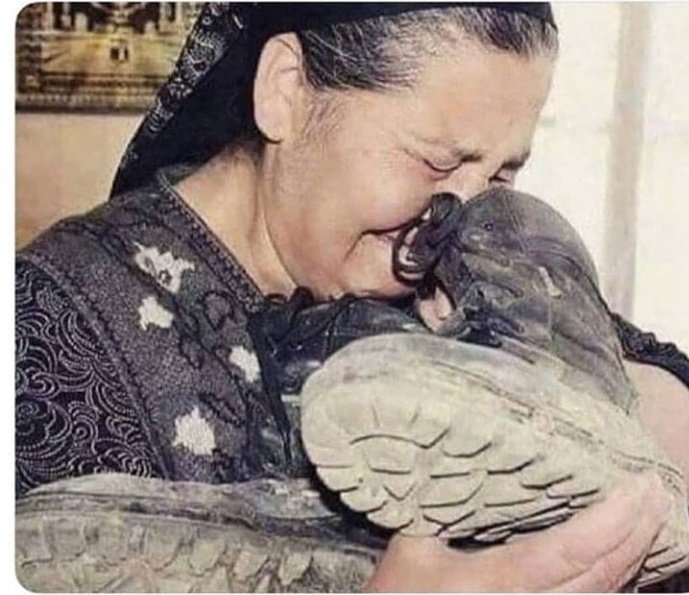 AvcUmur's tweet photo. #UzmCvslaraSesVerTurkiye Dilenmiyorlar !! Hakkı olanı istiyolar ... Duyun artık bu yiğitlerin sesini .. @UlviYonter @karabey38 @tcsavunma @dbdevletbahceli https://t.co/IZA8xcHltZ