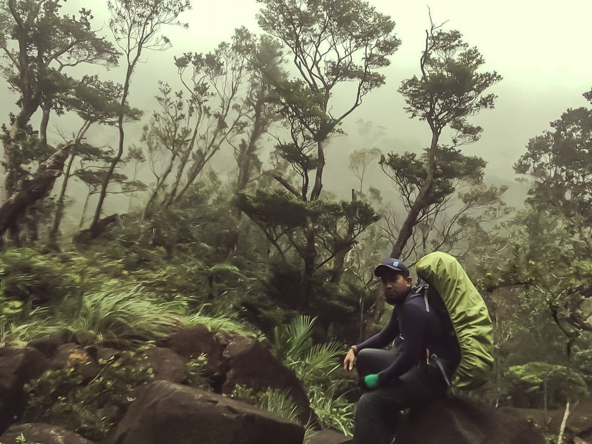 "The summit is what drives us, but the climb itself is what matters." 
Conrad Anker