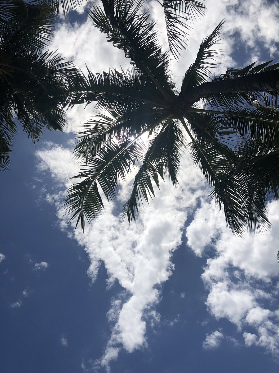 renappppp's tweet photo. Hawaii https://t.co/hTZAN9FzNr