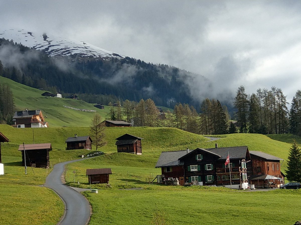 sianglaessner's tweet image. Idyllic morning. #homeview