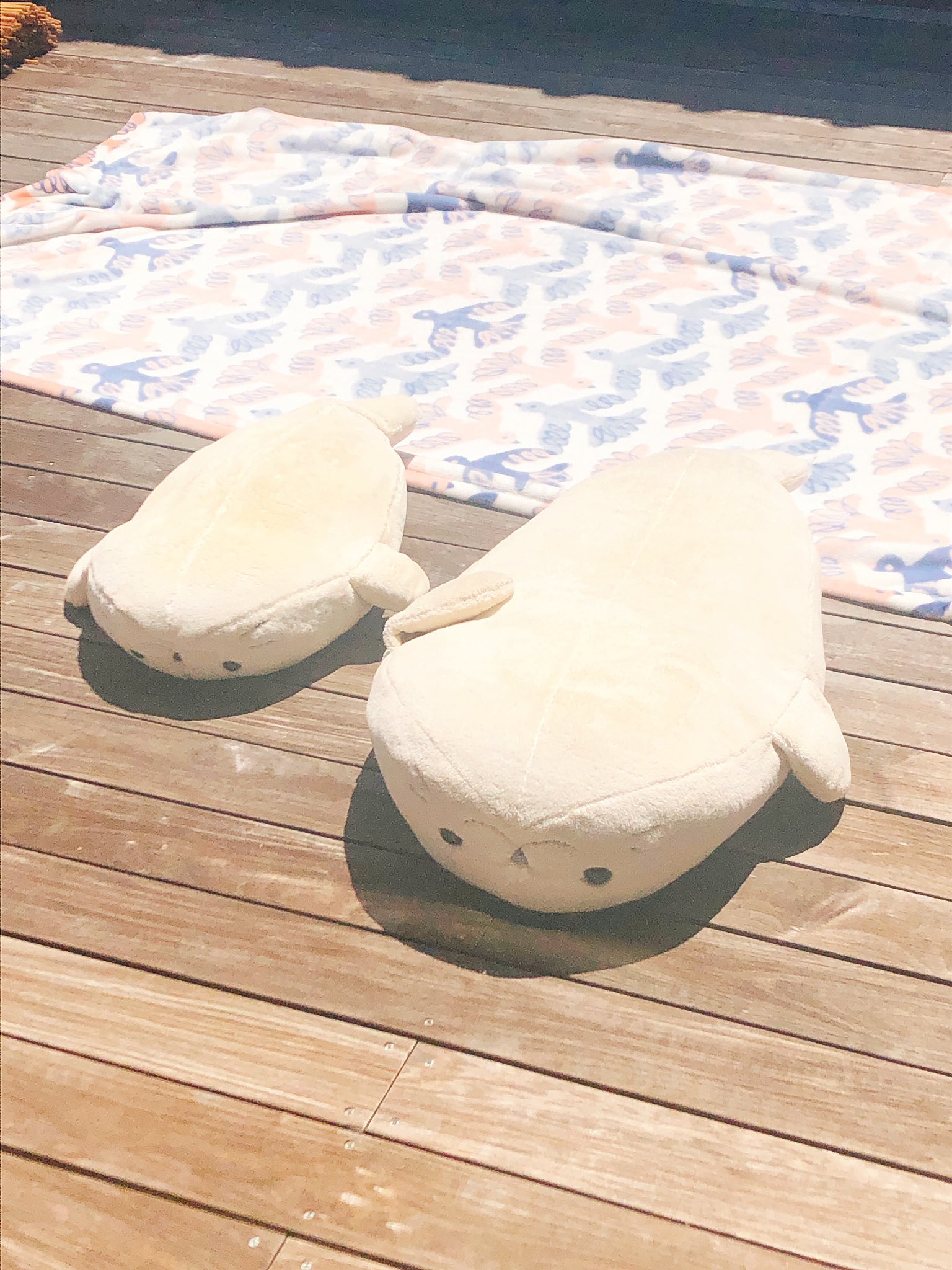 もち子 Motitto Shiro Twitter