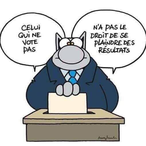 robinsappe (@robinsappe) on Twitter photo 