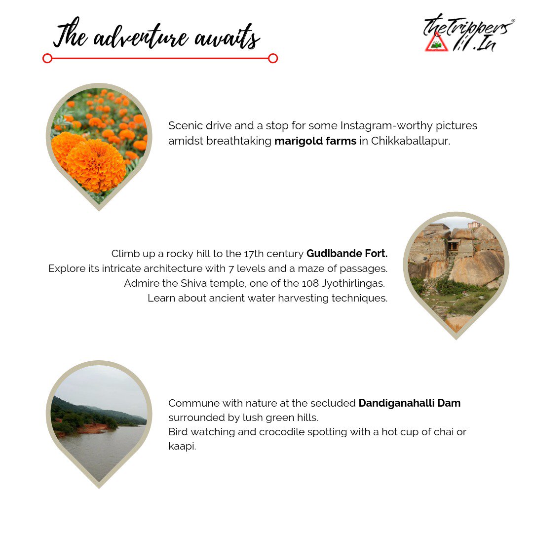 TheTrippers_In's tweet image. Got work blues? Get a quick fix holiday with our 1 day Gudibande Hill Trek &amp;amp; Dandiganahalli Dam visit. 

HURRY! Limited spots available: bit.ly/2I8V2xd
Call 9845200014 / 8861186299
#thetrippersdotin #takeadetour #gohash
#gudibande #hilltrek #dandiganahallidam
