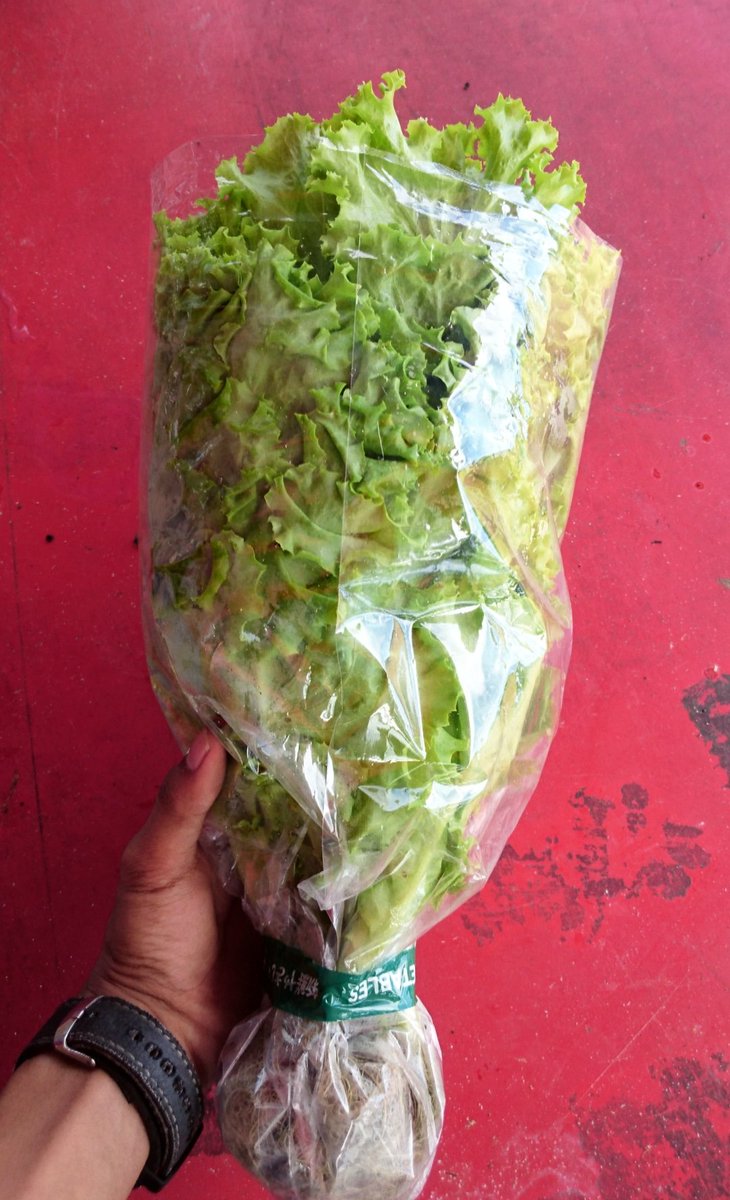 tisukeju's tweet photo. Teruntuk kamu:
Sengaja aku kasih ini untuk kamu karena aku tau kamu suka bunga dan kamu itu vegetarian https://t.co/hoEQ17Hmpx