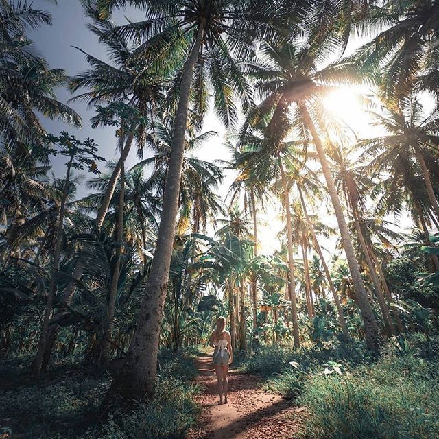 Health_Lab_Live's tweet image. [ENVIRONMENT] "Sooner or later, we will have to recognise that the Earth has rights, too, to live without pollution. What mankind must know is that human beings cannot live without Mother Earth, but the planet can live without humans." - Evo Morales … bit.ly/2QoqZFf