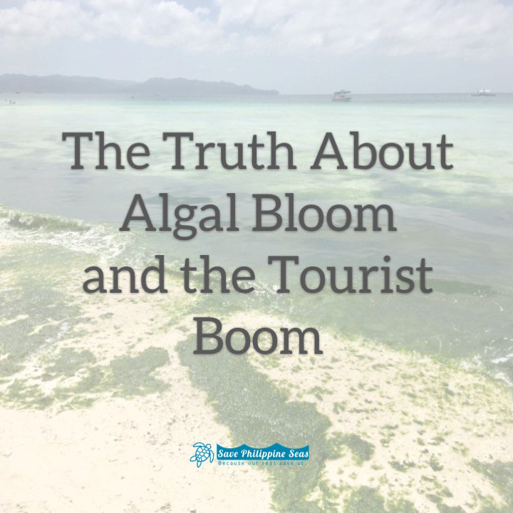 SavePHSeas's tweet photo. 4. The Truth About Algal Bloom and the Tourist Boom: We released a science-based infographic to dispel myths about the algal bloom (lumot) in Boracay. https://t.co/FxRKDcNPLf