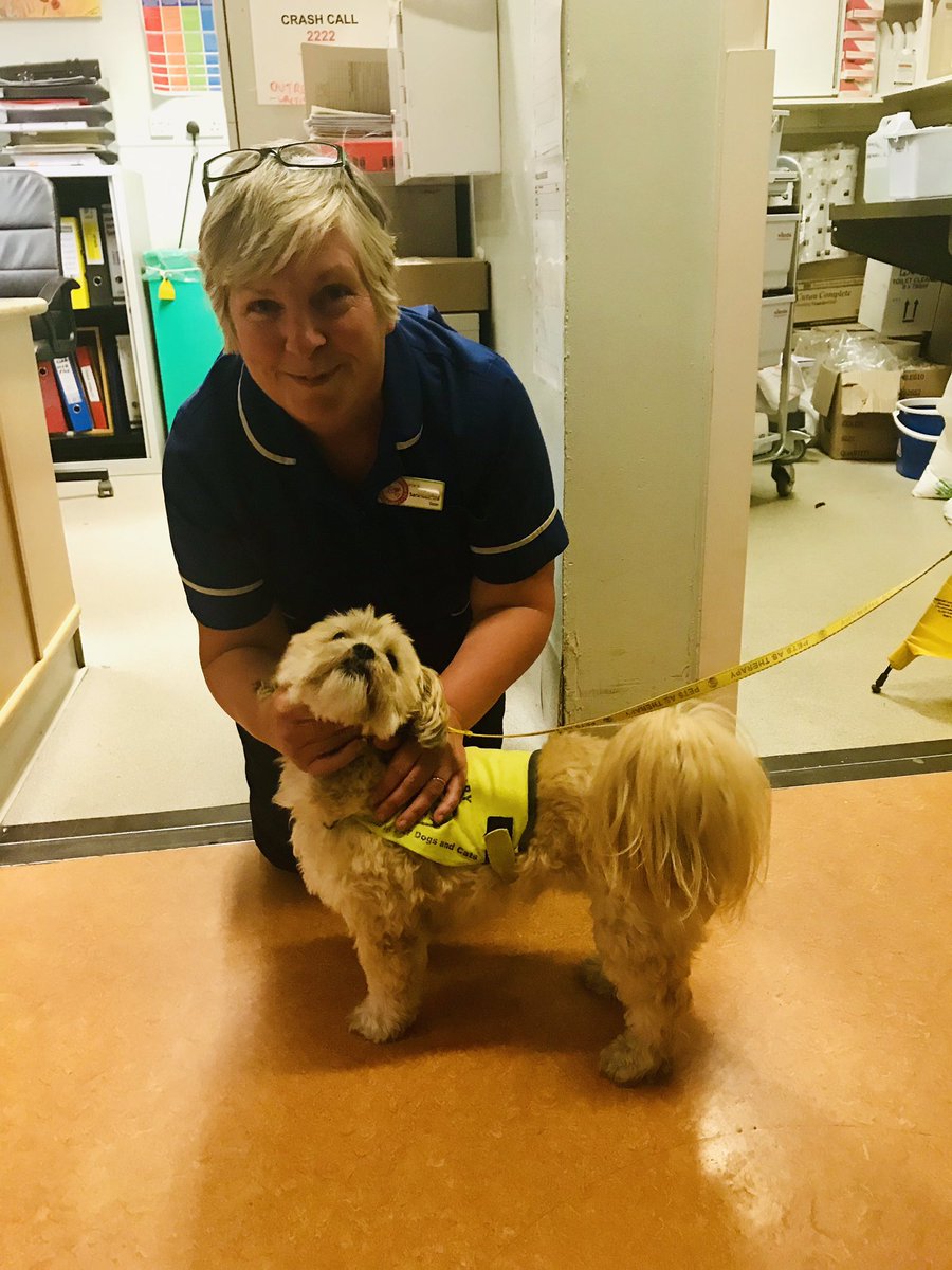 Patients and Staff loving our PAT dog on L12 🐾🐶