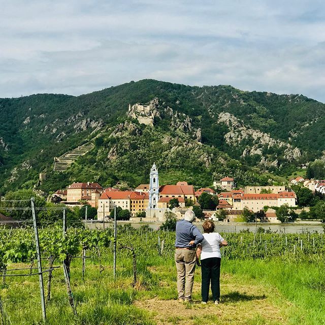 travelstoriesAT's tweet photo. Ein Tag in der Wachau 👍🥂- @christianlintner70 #wachau #wachauwine #niederoesterreich #visitniederösterreich #visitwachau #urlaubsgeschichten #austrianblogger #visitaustria #loveaustria #duernstein #dürnstein https://t.co/WKwSJa85ri https://t.co/rNBXnumoEy