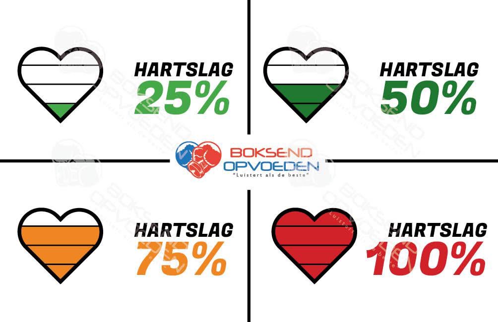 Boksend Opvoeden!Geheugensteunkaartjes.
Het geheugensteunkaartje wordt meegegeven als reminder in de coaching.
@de_nederlandseboksbond Let op!! Juni volgeboekt. Dinsdag 10 september is nog plek.
boksendopvoeden.nl
Vakwerk @dennissiebelink #cursus #boksen #opvoeden #trainers