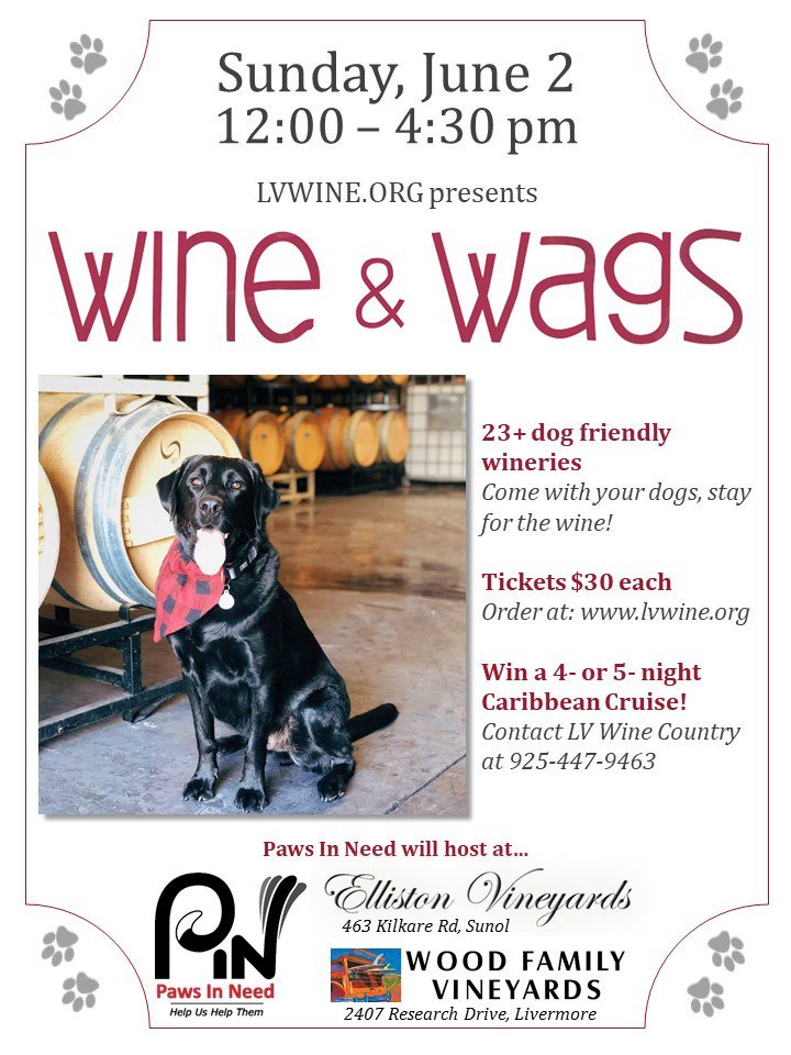 PawsInNeedBA's tweet image. Wine &amp;amp; Wags - PAWS IN NEED.  Sunday, June 2nd, 12:00pm-4:30pm.  Elliston Vineyards or Wood Family Vineyards.  #WineWags #PawsInNeedBA