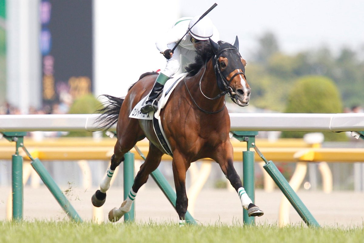 Roger Barrows lands the Gr.1 Japanese Derby in front of a monster crowd of 110,000. #ロジャーバローズ

His dam Little Book headed to Japan after JS Company bought her at the #TattsDecember Mare Sale for 230,000gns from the Castlebridge Consignment.

📸 <a href="/netkeiba/">netkeiba</a>