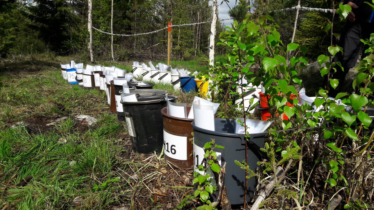 AM-keskimatkan lähdössä kaikki valmiina. Tervetuloa kisailemaan ja onnea matkaan! #suunnistus