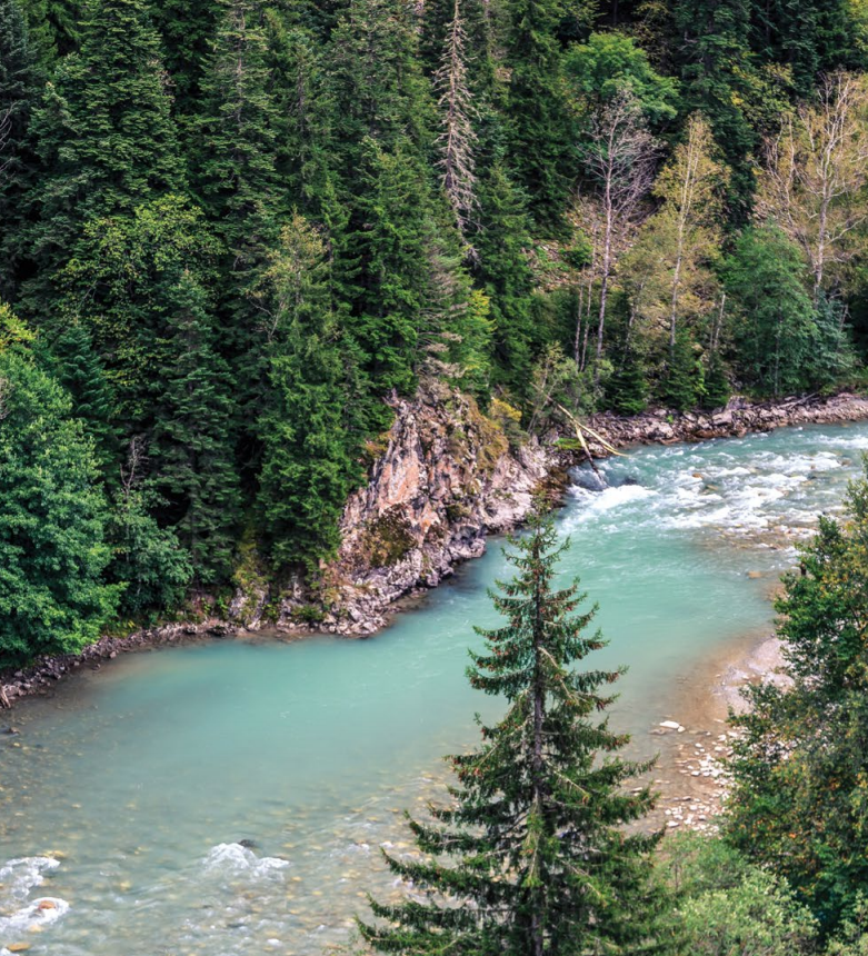 UNECE's tweet photo. Did you know that #Georgia has 2.8 million hectares of #forest cover? The nation has the highest forest cover in the #Caucusus and #CentralAsia region, at 40.5%.
Discover @UNECE's study on the potential for forest landscape restoration in the region👉https://t.co/RFwPCpB9zR https://t.co/b4cif1YwgO