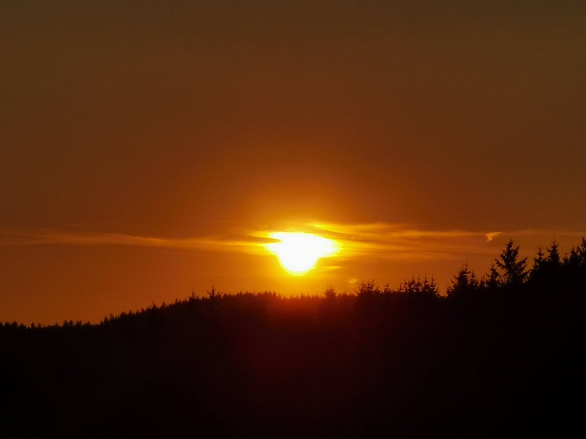 Forestry Sunset

@ruthwignall @ShoutOutWales @Photosofwales @BBCWthrWatchers @walesdotcom @rhondda_valley @visitwales @LoveTheValleys @ValleyViz @kelseyredmore
@katelewisITV @RhigosMountain @BrownieLB_1

#rhigos #sunset #sunsets #rhondda