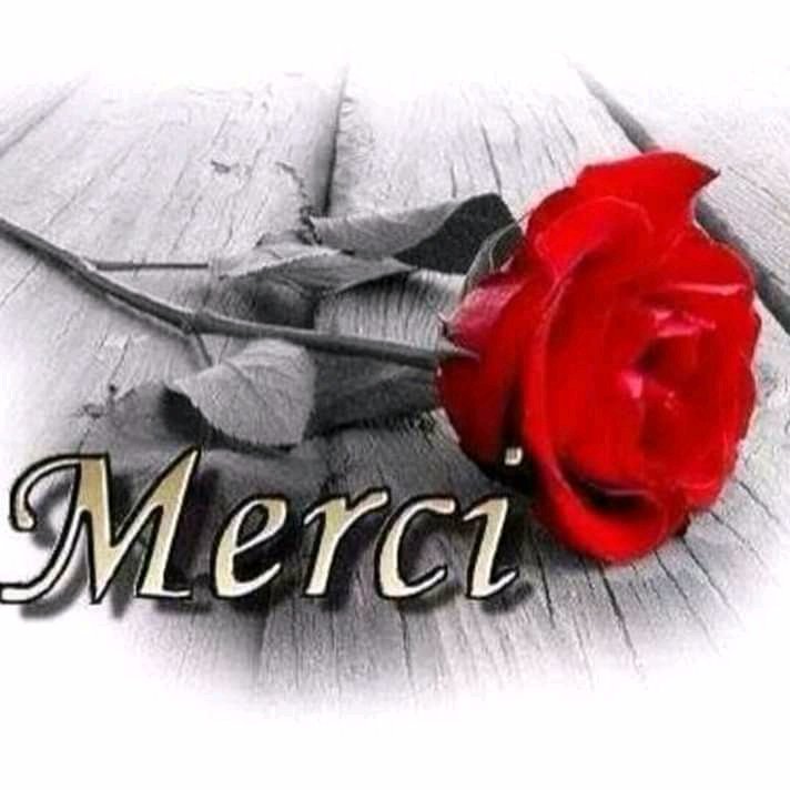 HermannMalan2's tweet photo. Chaque femme est une mère et chaque mère est une Bénédiction.
Bonne fête à toutes les mères. https://t.co/JfCJZys3LZ