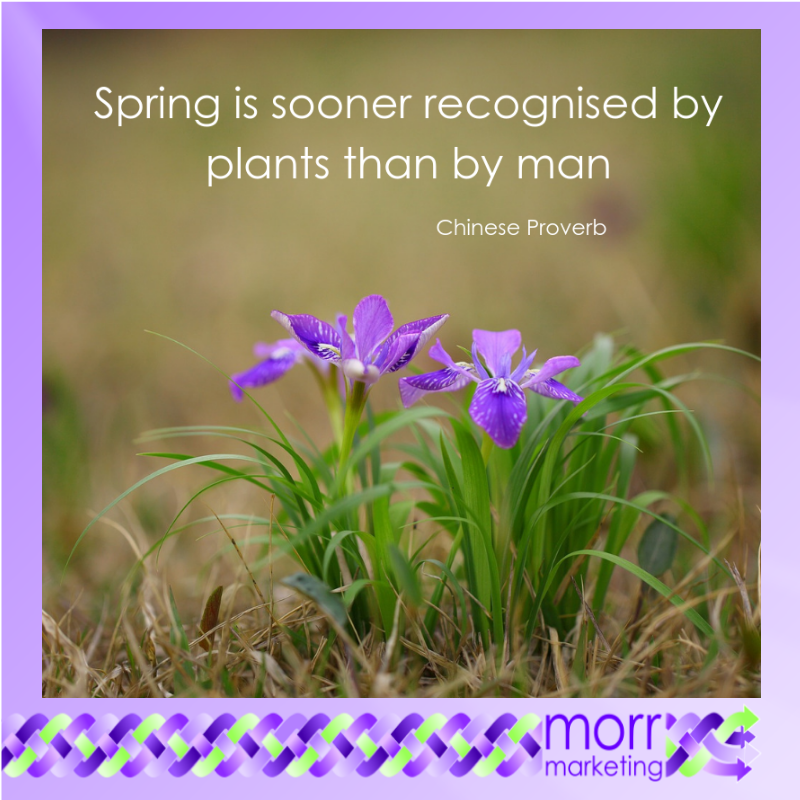 MorrMarketingEU's tweet photo. Spring is sooner recognised by plants than by man - Chinese Proverb #MayMemes #Quotes https://t.co/wD70Xp4lCt