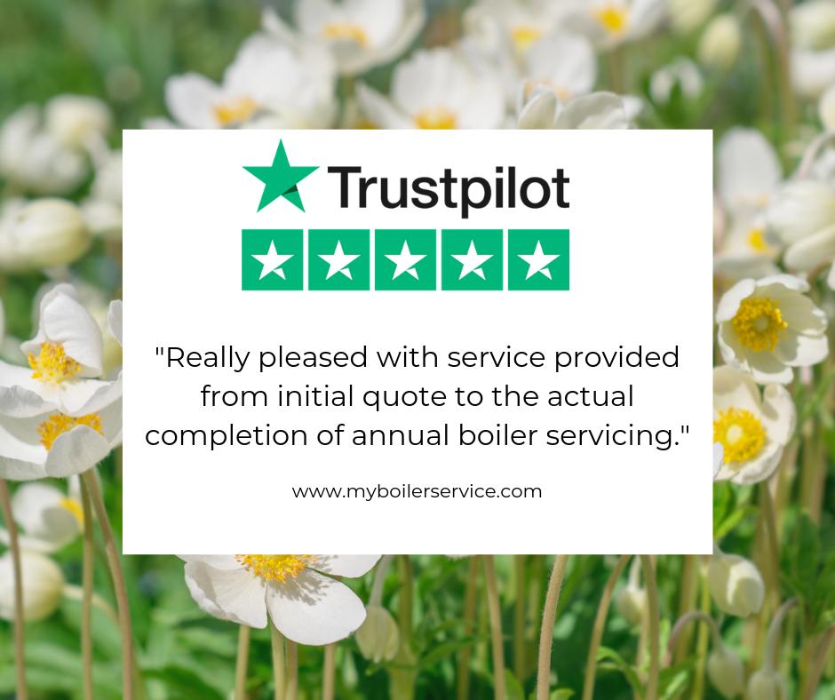 MyBoilerService's tweet image. Thank you Billy T for a fantastic review on Trustpilot!

⭐⭐⭐⭐⭐

bit.ly/2JBDaOA

myboilerservice.com 
#Trustpilot #review #share #experience #customerfeedback #service