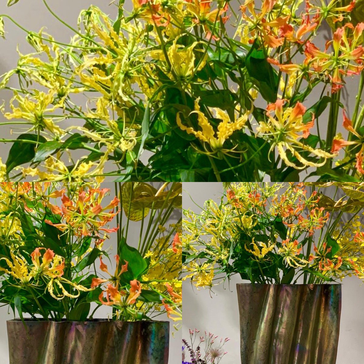 Bluetesiegel's tweet photo. Auf einen Sonntag, der seinem Namen alle Ehre macht... ☀️💐☀️
#blumen #frankfurt #natur #gloriosa #anthurie #oncidium
#liebe #flowers #flowerblogger #love #freundschaft #familie #dekoration #goodflowers #blütesiegel #floristik #leidenschaft #flowerdesign #luxuryflowers https://t.co/Hgxp44ggwV
