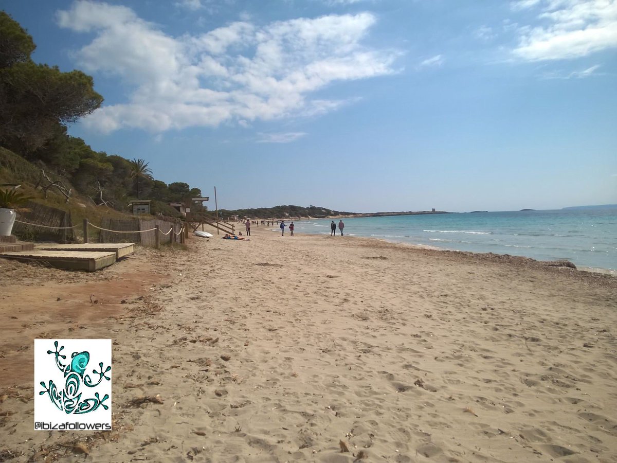 diegodelasheras's tweet photo. Salinas beach #Ibiza #ibiza2019  #spain Beautiful people beach bars good vibes the atmosfear worth it  #viajar #travel🌞🎧🌅🍹

ibiza business consulting follow @y_madavi https://t.co/L6Ndg7sWDl