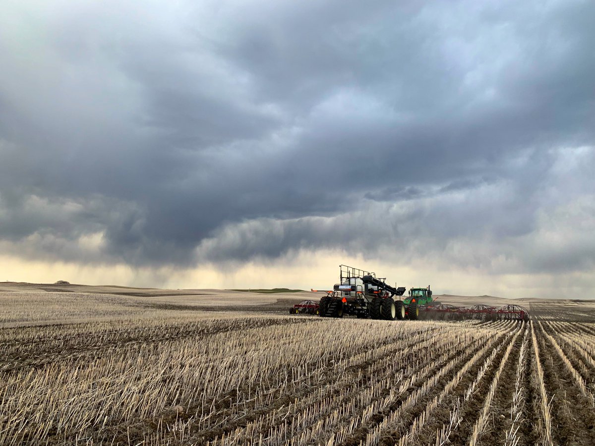 A shot from #plant19
