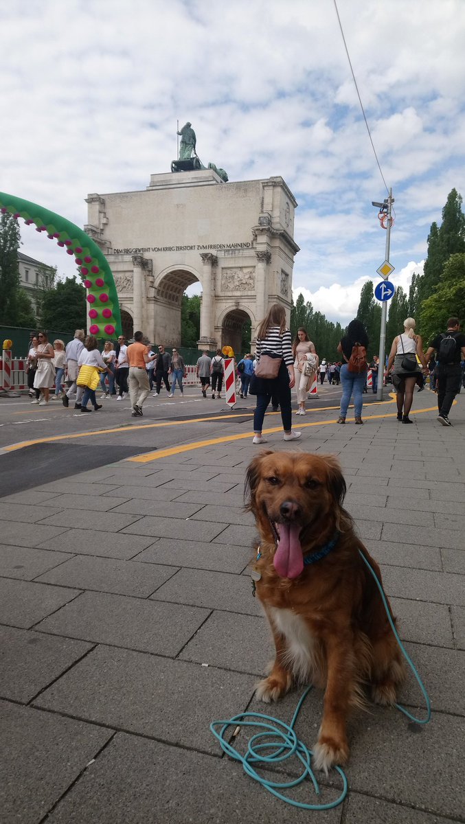 der_pippo's tweet image. Huhu! 👋 

#Corsoleopold #Leopoldstraße #München