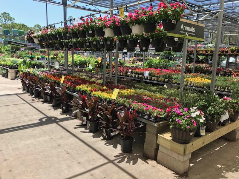 TerryThurst's tweet photo. 6311 looking great for the holiday weekend https://t.co/A9YTGzvNkc