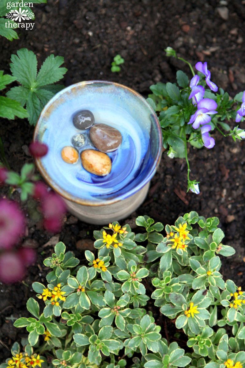 Why not add a bee bath to your backyard? Give those hardworking pollinators a much needed water break 🐝💧 
gardentherapy.ca/bee-bath/