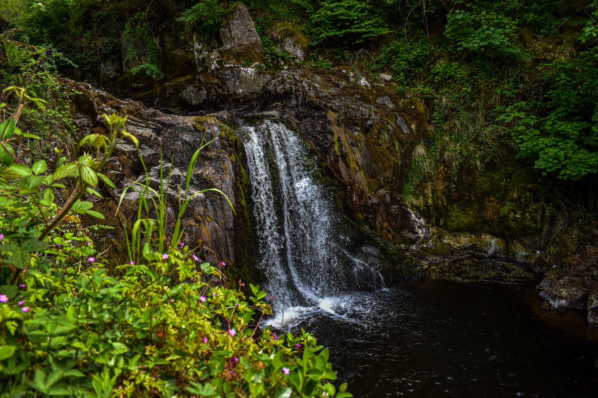 thestocks_'s tweet photo. Ingleton Waterfalls Trail. #waterfalls #ingleton #nikonphotography #dogwalking #outdoorphotography https://t.co/G2MfgQrien