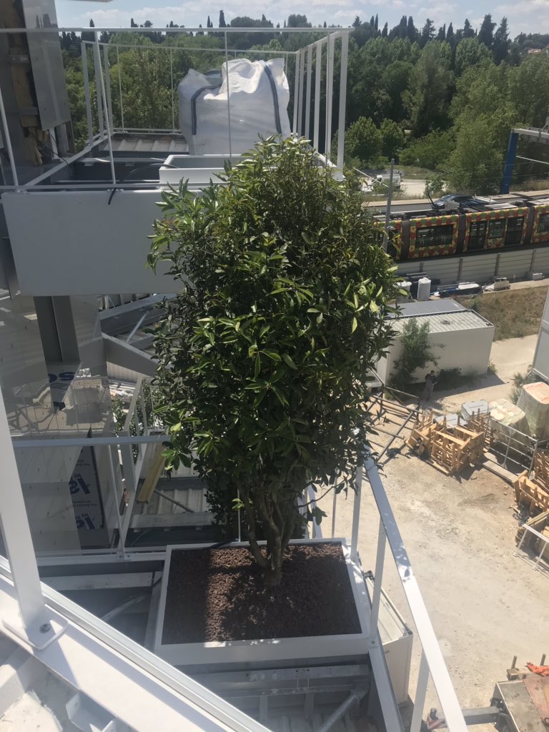 OpaliaUrbanWork's tweet photo. @CastelnauleLez #PradoConcorde @OpaliaUrbanWork @HELENIS_Concept #ValodetPistre #arbrevolant #architecturedesign #experienceclient #facadeVegetale #onseregaleavecopalia https://t.co/yE6GKJCufD