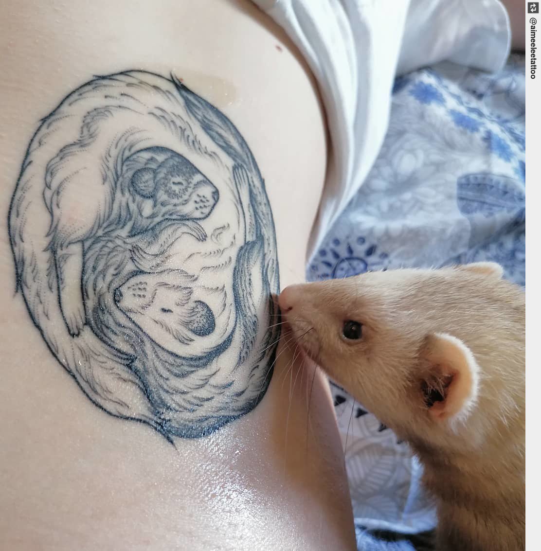 tattooness_com's tweet image. Sleepy ferrets for Hollie from a few weeks ago 💗 . . . . . #dotwork #dotworktattoo #dotworkers #tattooist #tattoo #inked #ink