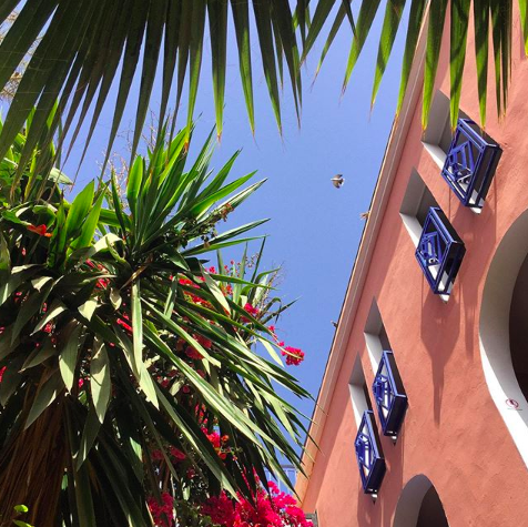 ShakaSurfMoroc's tweet photo. S U N D A Y
P O S T
S U R F
M O O D
#surf #surfholiday #surfriad #blueskies #sunshine #surfersparadise #coloursofmorocco #tamraght #palms #holidaymode #surfholiday #surftrips #morocco #riad #moroccanbuildings #surfersparadise https://t.co/8VkKsxaxos