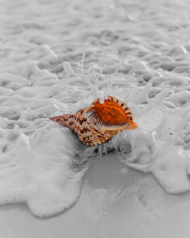11onFairway's tweet photo. We are so close to the ocean you won’t need a shell to hear the sea while enjoying your luxury getaway with us!

#BeachVilla #LuxuryAccommodation #Travel #WhereToStayKZN #HolidayAccommodation #VacationDestination #KZNsouthcoast https://t.co/E9lJuUhpcd