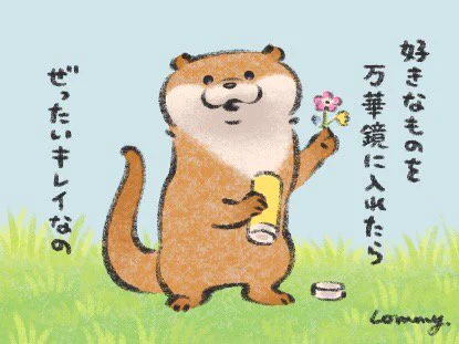 絶対キレイなの。
#カワウソ 