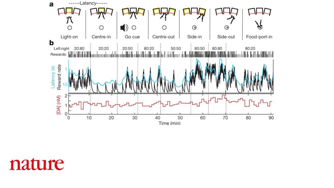 Dopamine signalling is important in a number of processes but how it can support them all is unclear. A paper in Nature shows that dopamine release and cell firing may have different functions during reward-related learning. go.nature.com/2HypoK4