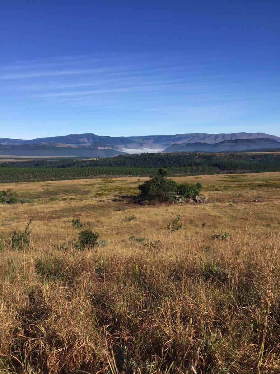 charnebosman's tweet photo. Last longrun done and dusted🏃🏼♀️😊. I just love to train here! @MR_RunningClub @NewBalance_SA @32Gi @versussocks @hpcRSA @ProperHydration @Momentum_za #graskop #GodsWindow #Wonderview #hills https://t.co/1xnZPfjRBQ