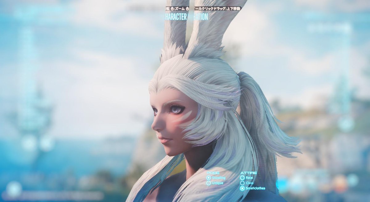 Feli Ffxiv 5 5 Spoilers Also Tried Face Types 4 And 2 Ff14 ヴィエラキャラメイク Viera T Co Jf0uymgyks Twitter