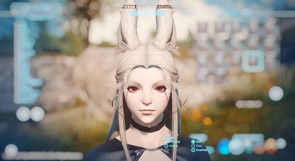 Feli Ffxiv 5 5 Spoilers Sur Twitter Also Tried Face Types 4 And 2 Ff14 ヴィエラキャラメイク Viera T Co Jf0uymgyks Twitter