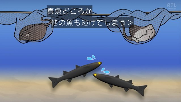 Dash海岸の 巨大魚マイオ捕獲大作戦 で漁に出た城島リーダー なぜか厄介者のアカエイを56匹捕獲し美味しくいただく 鉄腕dash 2ページ目 Togetter
