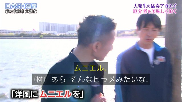 Dash海岸の 巨大魚マイオ捕獲大作戦 で漁に出た城島リーダー なぜか厄介者のアカエイを56匹捕獲し美味しくいただく 鉄腕dash 3ページ目 Togetter