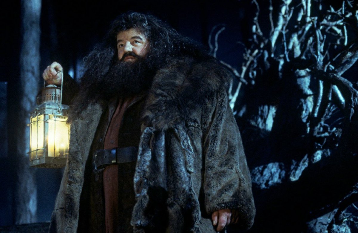 “there’s no hogwarts without you, hagrid”