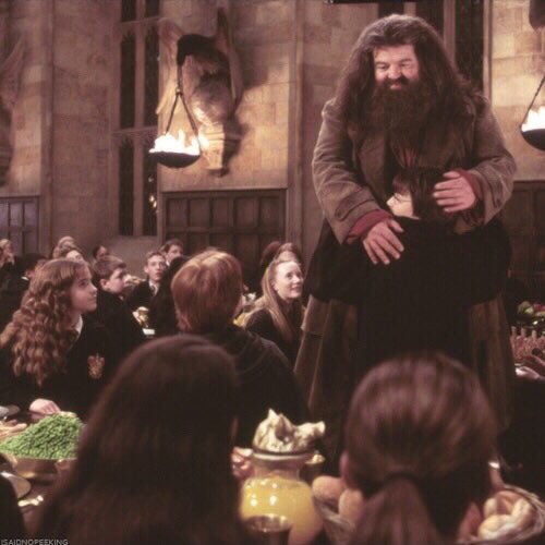 bestpotterpics's tweet photo. “there’s no hogwarts without you, hagrid” https://t.co/z1rvwXEQeJ