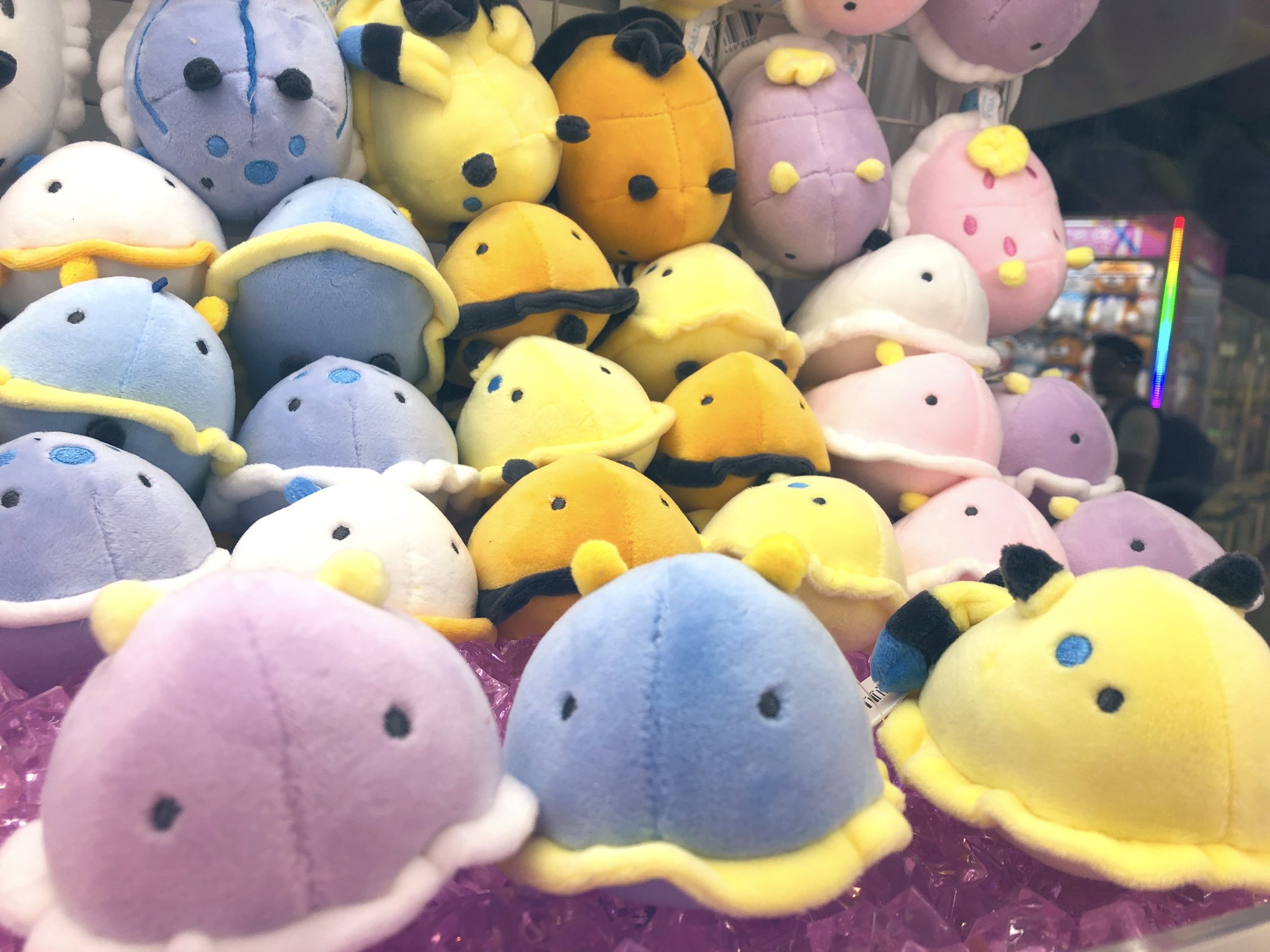 人気の贈り物が大集合 かわいいうみうしコンプリートウミウシ激レアスイーツうみうし水族館ぬいぐるみ激安 その他 Guiacieneguilla Com 人気の贈り物が大集合 かわいいうみうしコンプリートウミウシ激レアスイーツうみうし水族館ぬいぐるみ激安 その他 Guiacieneguilla Com