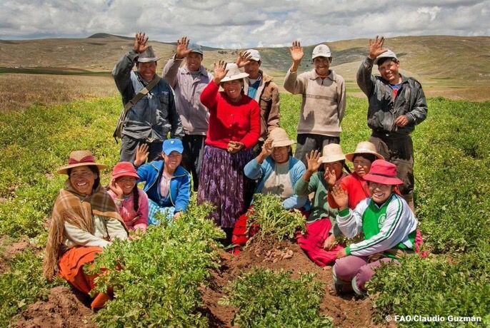 FAOenEspanol's tweet image. 👩‍🌾👨‍🌾#SabíasQue el 80% de nuestros alimentos provienen de la #AgriculturaFamiliar?

🌎Por su sabiduría y su respeto por los recursos naturales, los agricultores familiares son los agentes del cambio que necesitamos para lograr el #HambreCero.

👉bit.ly/2Qrx9V9