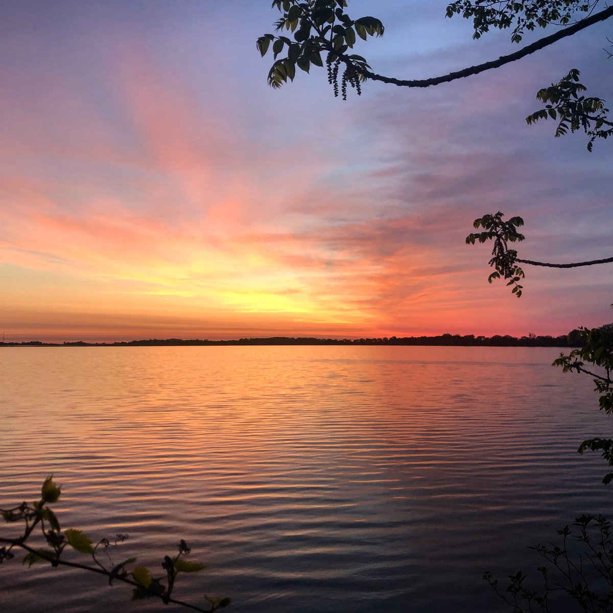 revivalfestmn's tweet photo. Sunrise at the point! #revivalfestmn #harmonypark #sunrise #minnesota #goodmorning https://t.co/D0fks6AM4i