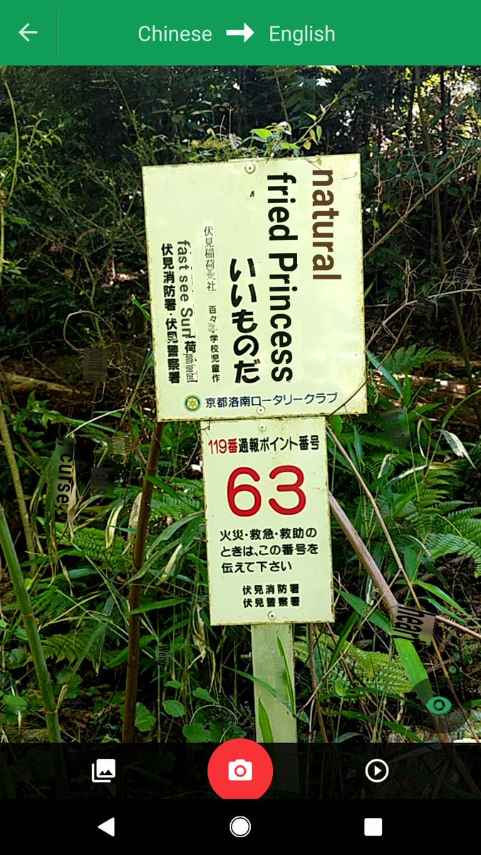 svanteschubert's tweet photo. Scary Google picture translation at a lonely path in the woods close to Kyoto, Japan.. https://t.co/TuZx0jP8ZS