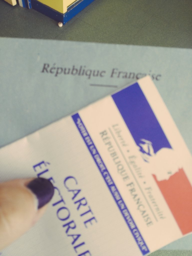 (((Just In))) 🇮🇱 tweet media