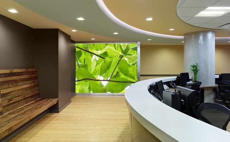 Henry Domke tweet media