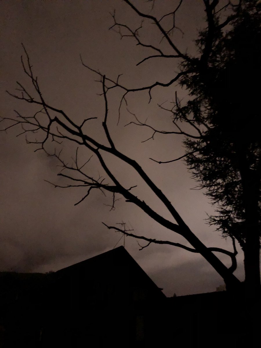 AryLysli's tweet photo. enquanto f1 no Quintal da minha casa um filme de terror.  #terror https://t.co/k6d5xOKyov