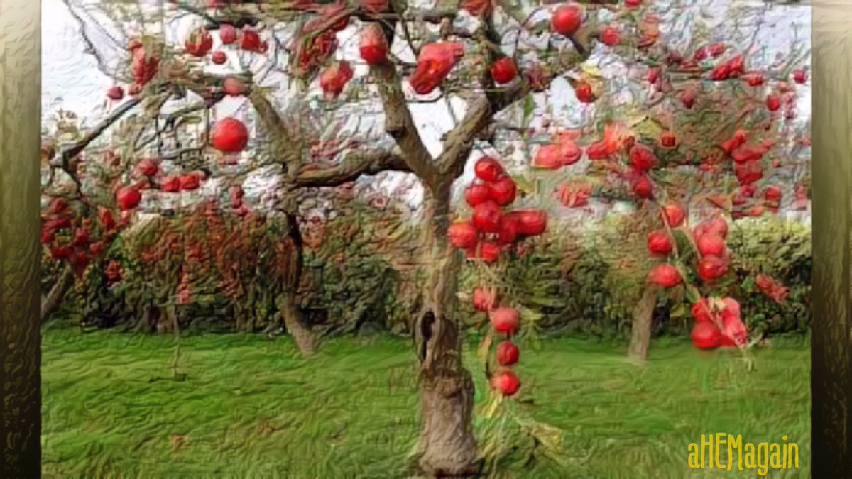 aHEMagain Actual tweet media